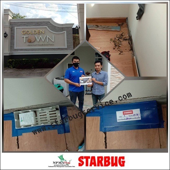 บริษัทรับกำจัดปลวกปทุมธานี